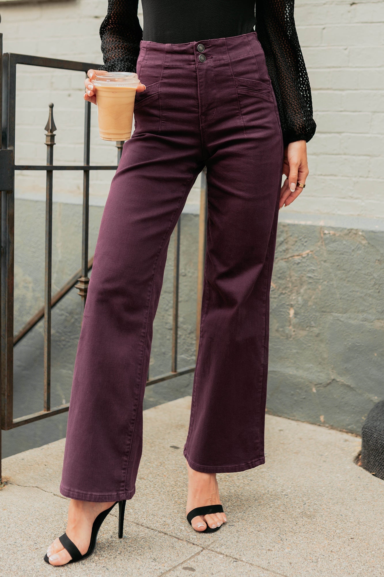 Carlotta High Rise Wide Leg Mica Denim Jeans (Plum)