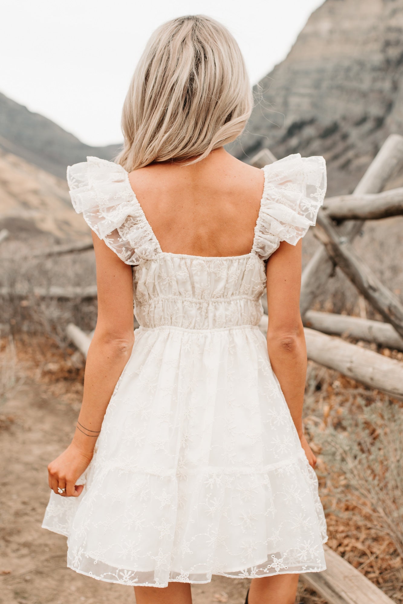 Petals In The Sun Chiffon Embroidered Mini Dress (Ivory)